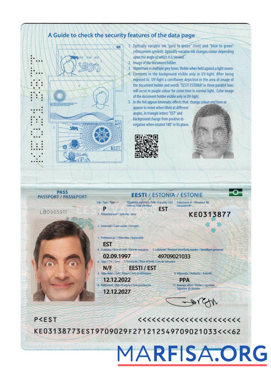Printable Estonia passport 2022 present sample